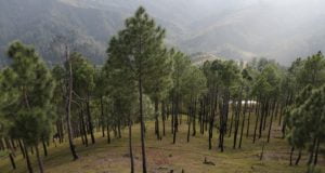 आखिर कब मिलेगा उत्तराखंड को 4 हजार करोड़ का ग्रीन बोनस 2 Hello Uttarakhand News »