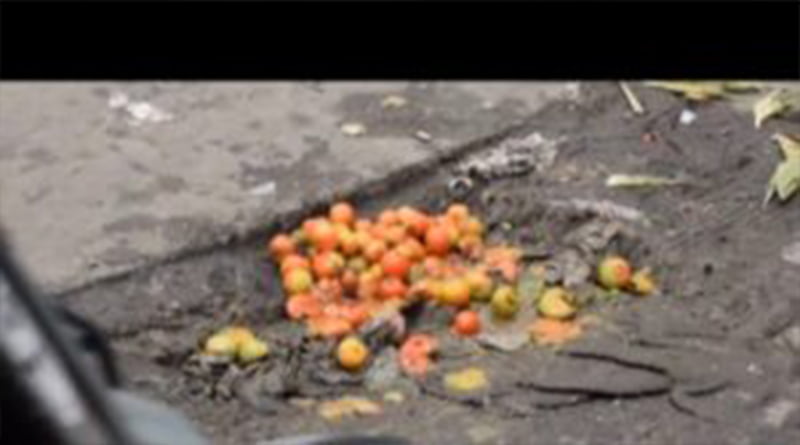 एक तरफ आसमां छूती टमाटरों की कीमतें और दूसरी तरफ कुछ यूँ हो रही है बेकदरी 2 Hello Uttarakhand News »