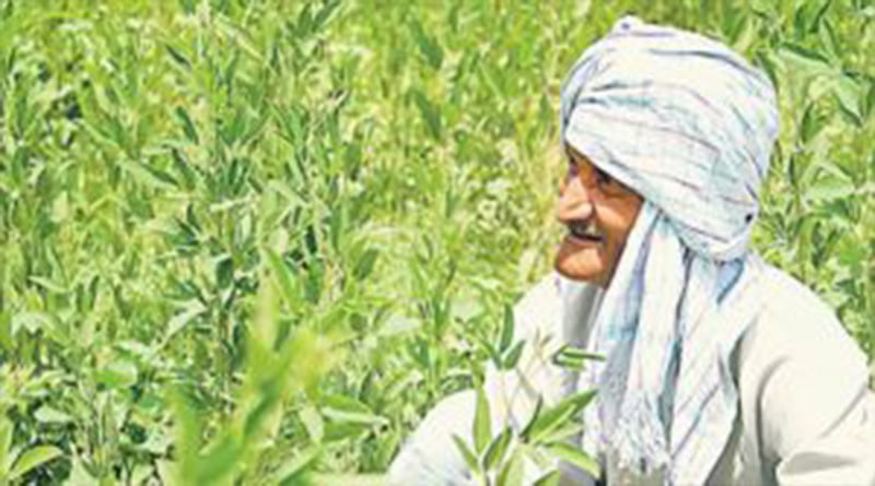 किसानों की स्थिति में आया सुधार: मंडी समिति 4 Hello Uttarakhand News »