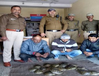 पुलिस ने किया जिन्दा कछुओं के साथ तीन युवकों को गिरफ्तार 3 Hello Uttarakhand News »