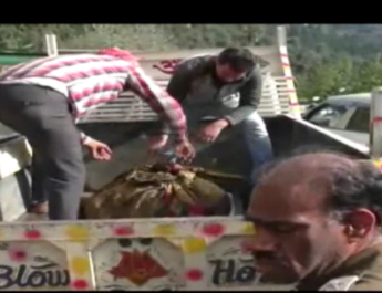 भाई और साले के साथ मिल कर युवक बना अपनी ही पत्नी का हत्यारा 3 Hello Uttarakhand News »