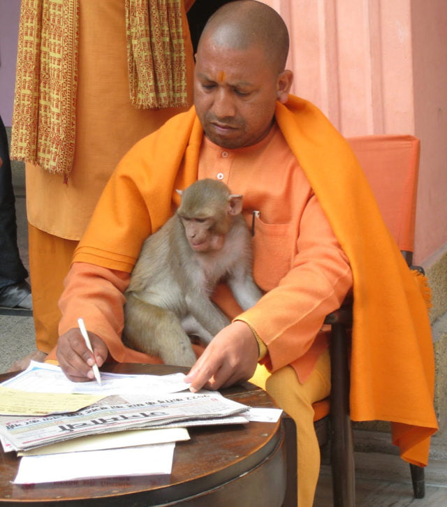 Yogi-Adityanath-with-his-monkey-640x726