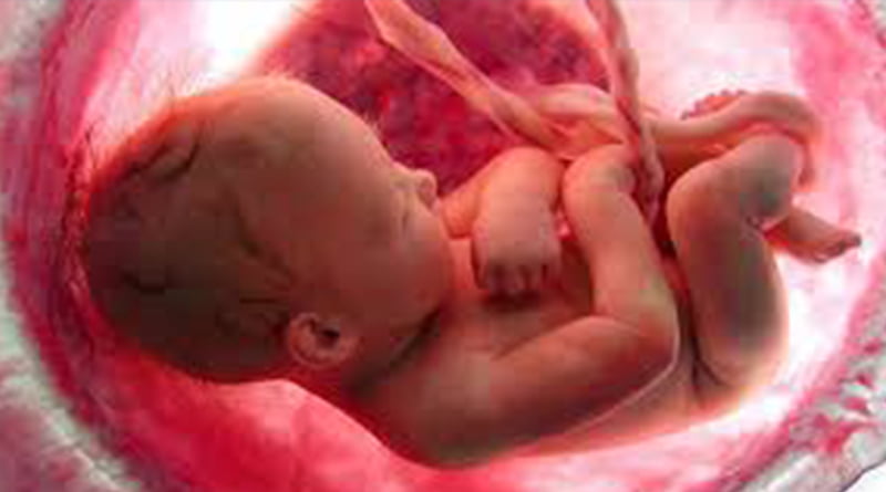 उत्तराखंड: गर्भ में पल रहा शिशु भी होगा कर्ज के बोझ तले 5 Hello Uttarakhand News »