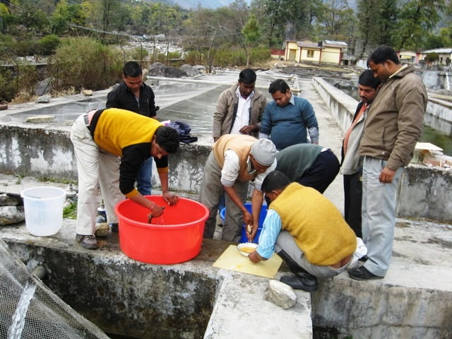 राज्य सरकार को हाई कोर्ट से बड़ी राहत 3 Hello Uttarakhand News »