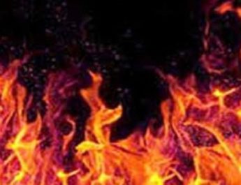 गौशाला में आग लगने से 46 मवेशियों की दर्दनाक मौत 2 Hello Uttarakhand News »