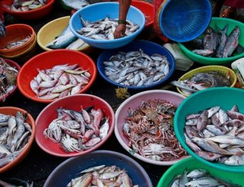 पलटन बाजार से गायब हो जाएगा मच्छी बाजार ! 4 Hello Uttarakhand News »