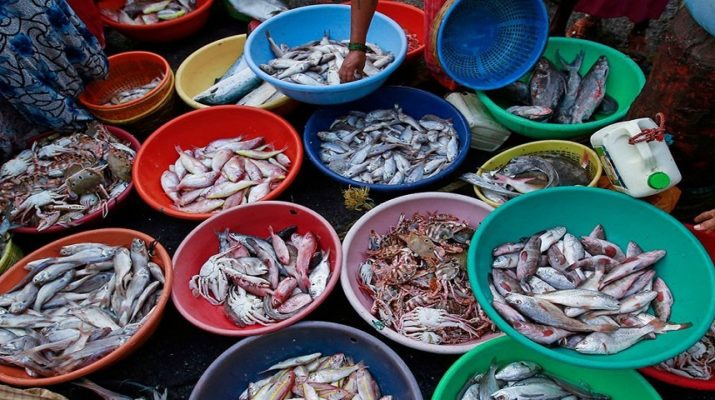 पलटन बाजार से गायब हो जाएगा मच्छी बाजार ! 1 Hello Uttarakhand News »