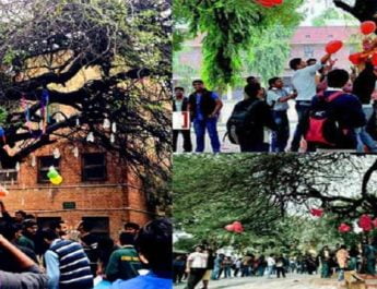 प्यार के त्यौहार में दिखेगा 'वर्जिन ट्री' का अद्भुत नजारा 2 Hello Uttarakhand News »