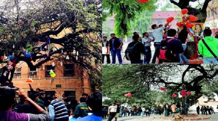 प्यार के त्यौहार में दिखेगा 'वर्जिन ट्री' का अद्भुत नजारा 1 Hello Uttarakhand News »