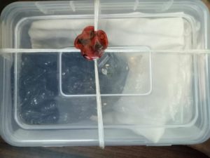 शातिर ठग गैंग को पुलिस ने दबोचा, फर्जी मूर्ति से लगाते थे लोगों को चुना 2 Hello Uttarakhand News »