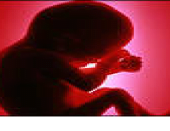 रंग लाई 'बेटी बचाओ बेटी पढ़ाओ' मुहिम, देवभूमि में बढ़ा बेटियों का ग्राफ 3 Hello Uttarakhand News »