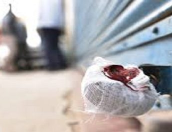 व्यापारियों ने जड़ा सात लाख दुकानों में ताला 3 Hello Uttarakhand News »