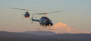 केदरनाथ हैली सेवाओं में हाॅर्स ट्रेडिंग होना तय ! 2 Hello Uttarakhand News »