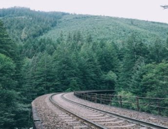 ट्रेन के चपेट में आकर एक बुजुर्ग की मोत 2 Hello Uttarakhand News »