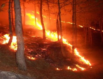 एसी की ठंडक में जंगलों की आग का ताप भूली सरकार 4 Hello Uttarakhand News »