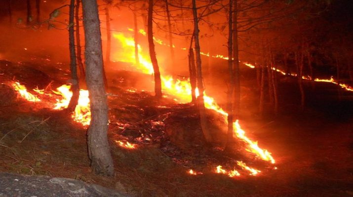 एसी की ठंडक में जंगलों की आग का ताप भूली सरकार 1 Hello Uttarakhand News »