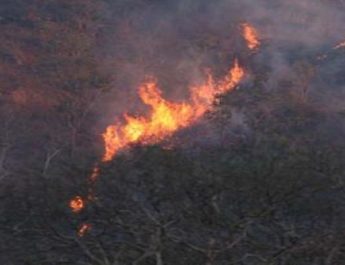 जंगल की आग ने कराई बिजली महकमें की परेड, यमुनोत्री के मुख्य पड़ावों पर आठ घण्टो से बत्ती गुल 3 Hello Uttarakhand News »
