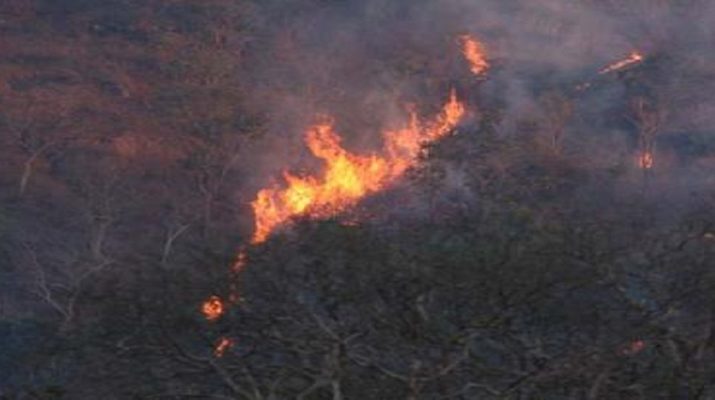 जंगल की आग ने कराई बिजली महकमें की परेड, यमुनोत्री के मुख्य पड़ावों पर आठ घण्टो से बत्ती गुल 1 Hello Uttarakhand News »