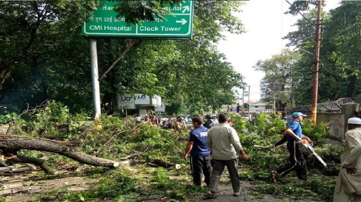 दून शहर के बीचों बीच बाइक सवार के ऊपर गिरा पेड़ 1 Hello Uttarakhand News »