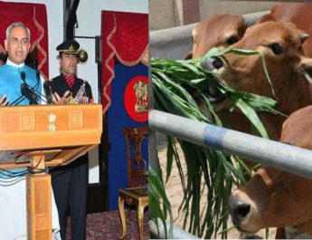 इन गायों का दूध पीने से बढ़ता है गुस्सा : हिमाचल राज्यपाल 3 Hello Uttarakhand News &raquo;