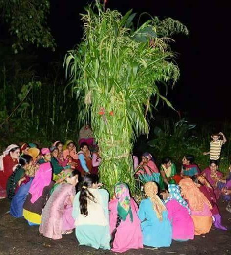 कोदा-झंगोरा और सुख समृद्धि का प्रतीक है दुबड़ी, जानिए जौनपुर की यह परंपरा.. 1 कोदा-झंगोरा और सुख समृद्धि का प्रतीक है दुबड़ी, जानिए जौनपुर की यह परंपरा.. 1 Hello Uttarakhand News »