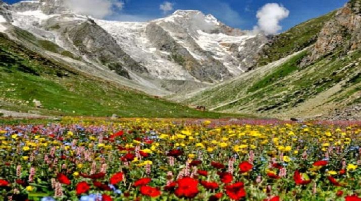 हेमकुण्ड साहिब की व्यवस्थाओं का जायजा लेने के बाद आज फूलों की घाटी जायेंगे सीएस 1 हेमकुण्ड साहिब की व्यवस्थाओं का जायजा लेने के बाद आज फूलों की घाटी जायेंगे सीएस 1 Hello Uttarakhand News »