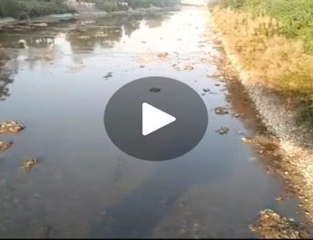 28 अक्टूबर को चलेगा 'हर गंगे महा सफाई अभियान' 2 Hello Uttarakhand News »