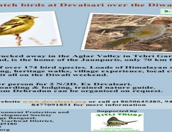 देवलसारी में प्रकृति प्रेमियों के लिए पक्षी अवलोकन का हो रहा आयोजन 2 Hello Uttarakhand News »