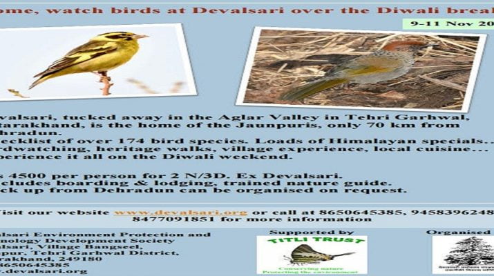 देवलसारी में प्रकृति प्रेमियों के लिए पक्षी अवलोकन का हो रहा आयोजन 1 Hello Uttarakhand News »