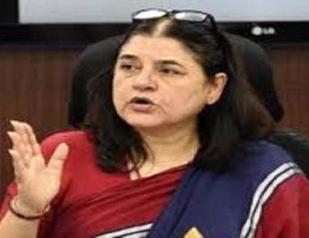 थम नहीं रहा अवनि बाघिन के मारे का मामला, मेनका गांधी ने कहा वन मंत्री को बर्खास्त करे सरकार 4 Hello Uttarakhand News »