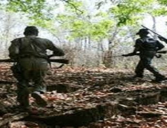 सुकमा में नक्स्ली और जवानों के बीच गोलीबारी आठ नक्सली ढेर, दो जवान शहीद 3 Hello Uttarakhand News »