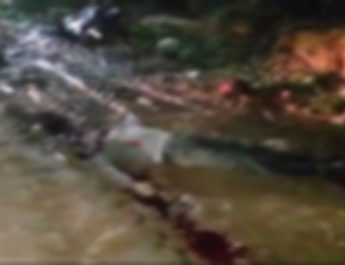 देहरादून: खम्बे से टकराई तेज रफ्तार बाइक, युवक का सिर धड़ से अलग 3 Hello Uttarakhand News »