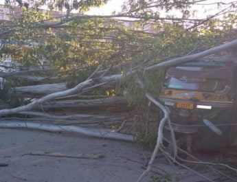 स्कूली बच्चों को ले जा रहे ऑटो पर गिरा पेड़ और पावर सप्लाई लाइन 3 Hello Uttarakhand News »