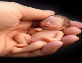 शर्मनाक: नैनिताल में नहर में पड़ा मिला भ्रूण, मचा हड़कंप 2 Hello Uttarakhand News »