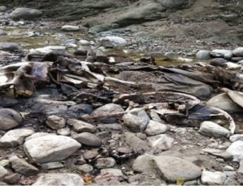 वन मंत्री के राज में जंगल में गुंडाराज! 3 Hello Uttarakhand News »