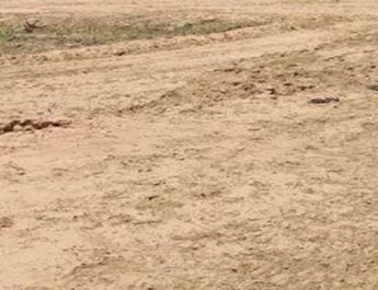 वन विभाग और ग्राम समाज की जमीनें की जा रही खुर्द-बुर्द 2 Hello Uttarakhand News »