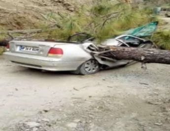 चलती कार पर गिरा पेड़, दो महिलाओं की मौत 4 Hello Uttarakhand News »