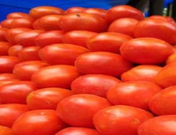 150 रुपए किलो तक पहुंचे कराची में टमाटर, भारत ने फिर शुरू की सप्लाई 5 Hello Uttarakhand News »