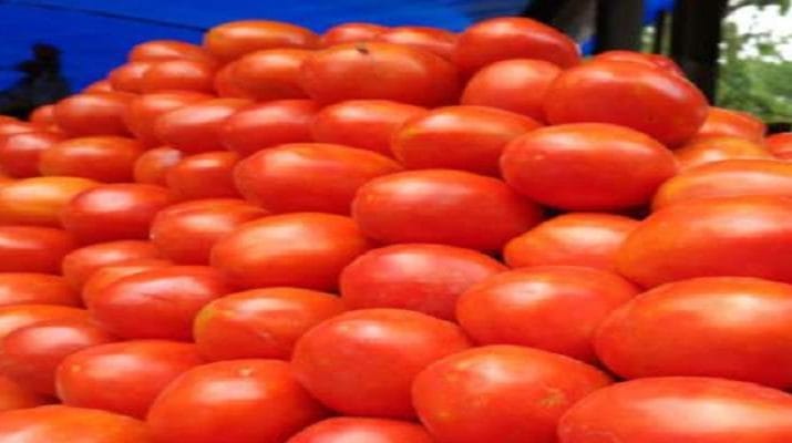 150 रुपए किलो तक पहुंचे कराची में टमाटर, भारत ने फिर शुरू की सप्लाई 1 Hello Uttarakhand News &raquo;