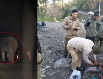 नीलकंठ यात्रियों के दल पर हाथी ने किया हमला, युवक को हाथी ने उतारा मौत के घाट 2 Hello Uttarakhand News »