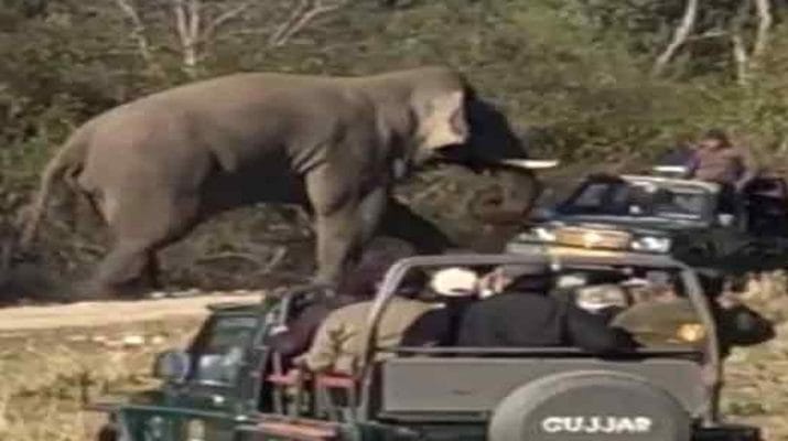 जंगल सफारी के लिए गए पर्यटकों पर हाथी का हमला 1 Hello Uttarakhand News &raquo;