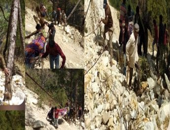उत्तराखंड: ट्रैक्टर-ट्राला खाई में गिरा, 3 की मौत, 8 घायल 5 Hello Uttarakhand News »