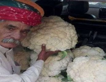 86 किलो का कद्दू और 25 किलो की गोभी उगाने वाले को राष्ट्रपति ने प्रदान किया पद्मश्री 2 Hello Uttarakhand News »