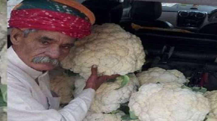 86 किलो का कद्दू और 25 किलो की गोभी उगाने वाले को राष्ट्रपति ने प्रदान किया पद्मश्री 1 Hello Uttarakhand News »