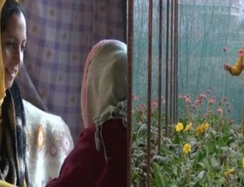 जो मारते थे ताना, आज वही देते है मिशाल, जानिए रूबीना की सफलता का सफ़र.. 2 Hello Uttarakhand News »