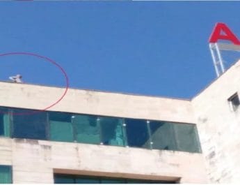 पेट्रोल की बोतल लेकर एम्स की छत पर चढ़ा कर्मचारी, मचा हडकंप 3 Hello Uttarakhand News »