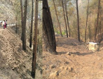 उत्तराखंड: वापस लौट रही बरात की कार दुर्घटनाग्रस्त, दूल्हे के पिता की मौत, 4 घायल 2 Hello Uttarakhand News »