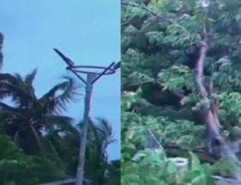 फानी तूफान की चपेट में ओडिशा, पुरी में 245 किमी की रफ्तार से चल रही आंधी 4 Hello Uttarakhand News &raquo;