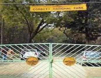 काॅर्बेट नेशनल पार्क में बाघिन की मौत , काॅर्बेट प्रशासन मामले को रफा-दफा करने में जुटा 2 Hello Uttarakhand News »