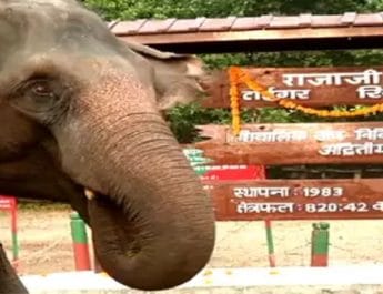 उत्‍तराखंड सरकार को सुप्रीमकोर्ट का नोटिस, राजाजी नेशनल पार्क में सड़क निर्माण पर रोक 2 Hello Uttarakhand News »